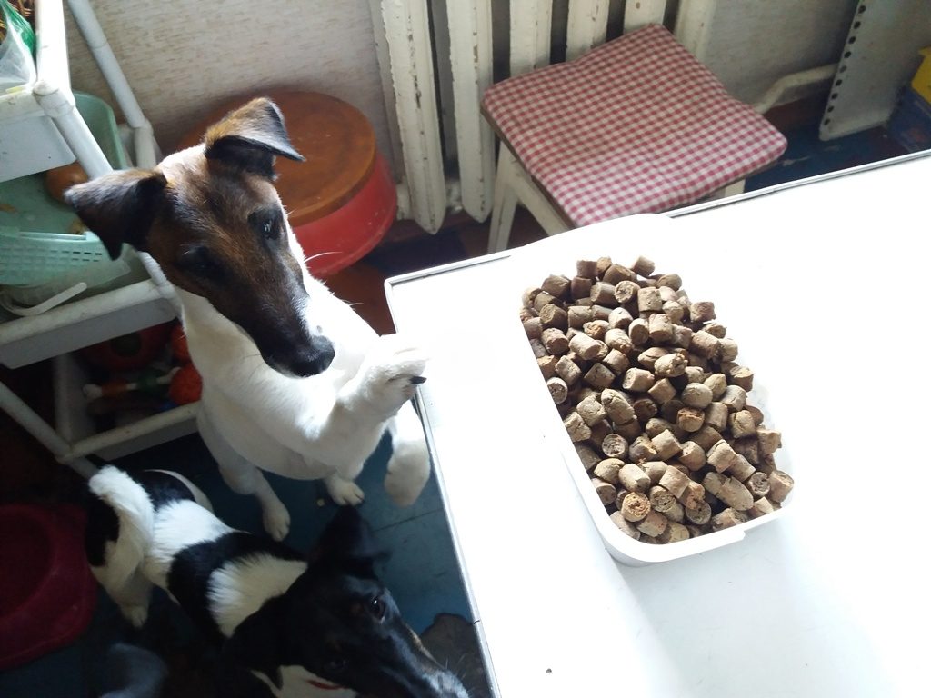 Печенька из печёнки для собак