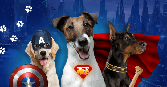 7 признаков того, что ваш пес супергерой