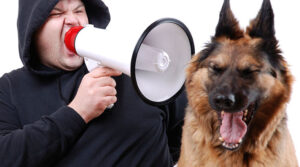 7 нелепых собачьих законов
